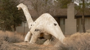 PICTURES/Apple Valley Dinosaurs/t_Dinasaur Land11.JPG